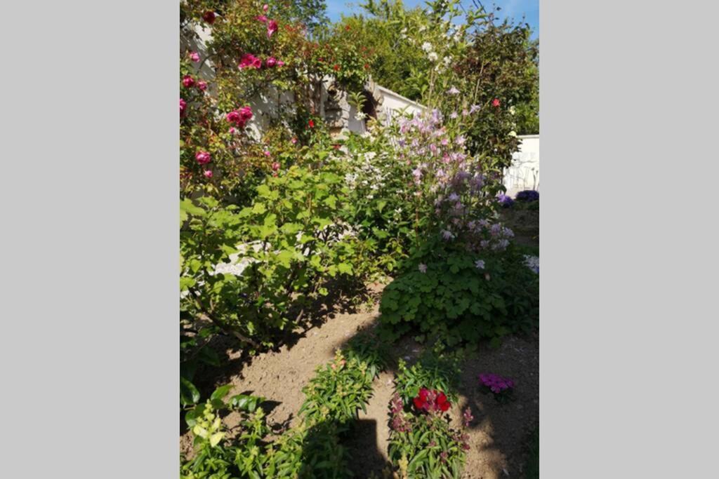 La Roseliere Maison Plain Pied Confortable Belle Decoration Jardin Magnifique 10 Mn A Pied Centre Ville Bayeux Proche Plages Du Debarquement 외부 사진