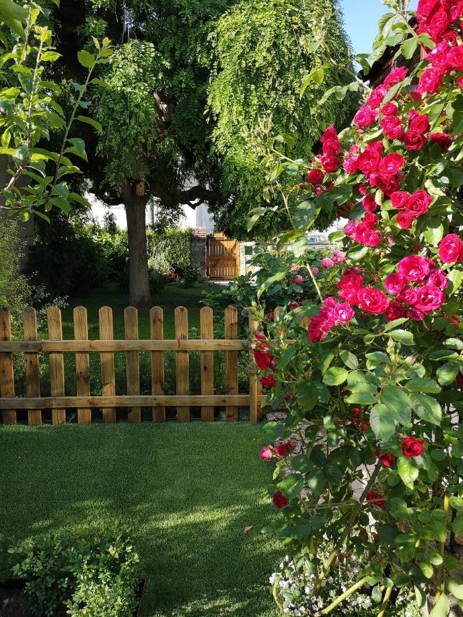 La Roseliere Maison Plain Pied Confortable Belle Decoration Jardin Magnifique 10 Mn A Pied Centre Ville Bayeux Proche Plages Du Debarquement 외부 사진